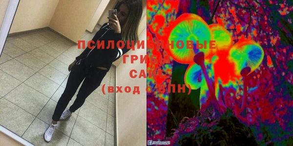 apvp Краснослободск