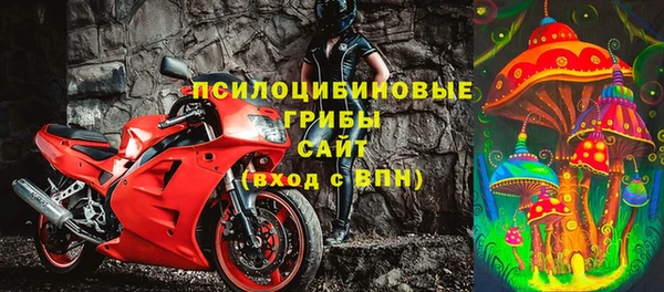2c-b Кукмор