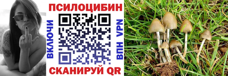 кракен рабочий сайт  Ливны  Галлюциногенные грибы Magic Shrooms 