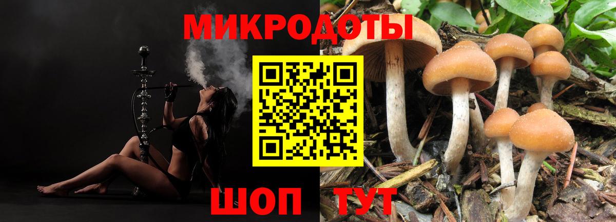 Галлюциногенные грибы мухоморы Ливны