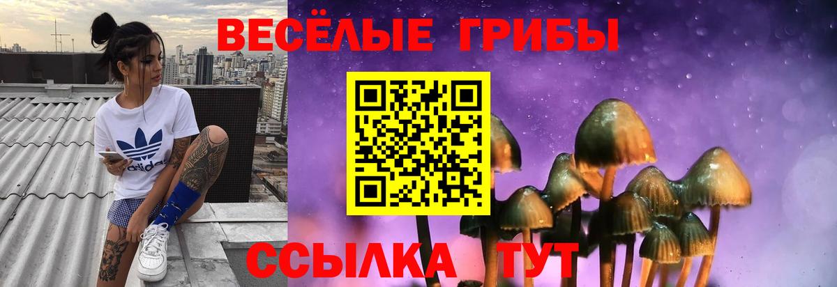 Псилоцибиновые грибы Psilocybe  Псилоцибиновые грибы мицелий  Вход с VPN  Ливны 